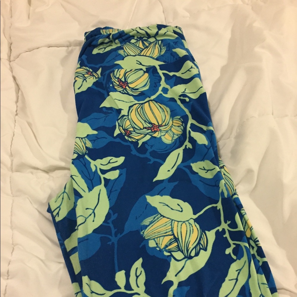Lularoe tall/curvy leggings blue floral pattern.